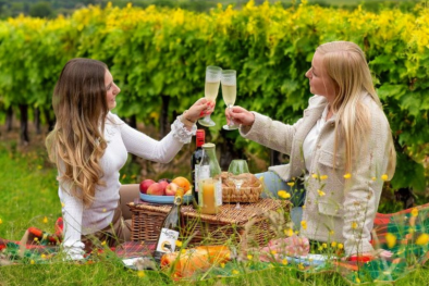 Picnic 158