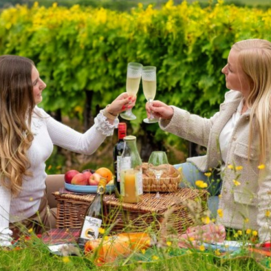 Picnic 158
