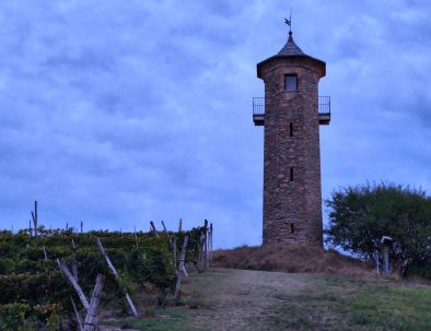 Torre dei contini