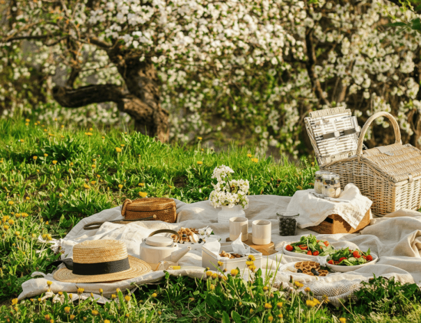 IT - Picnic elegante con cestino e piatti gourmet. EN - Elegant picnic with basket and gourmet dishes.
