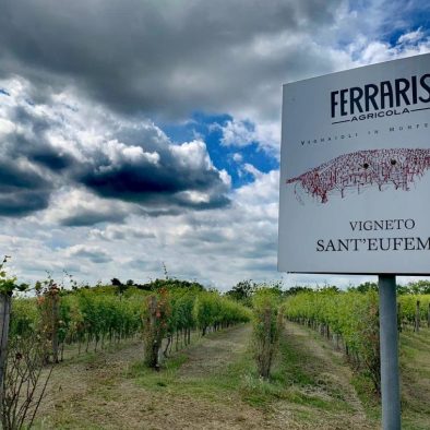 Ferraris vini