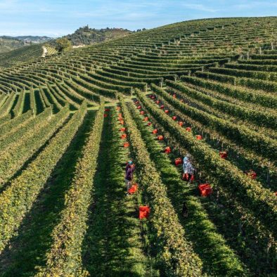 Cascina Goregn (46)